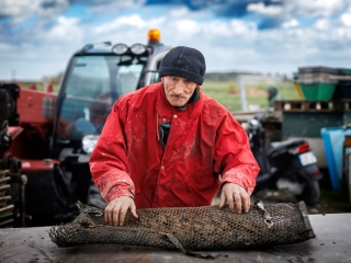 Ostrea – Antoine OLLIER Photographie-98