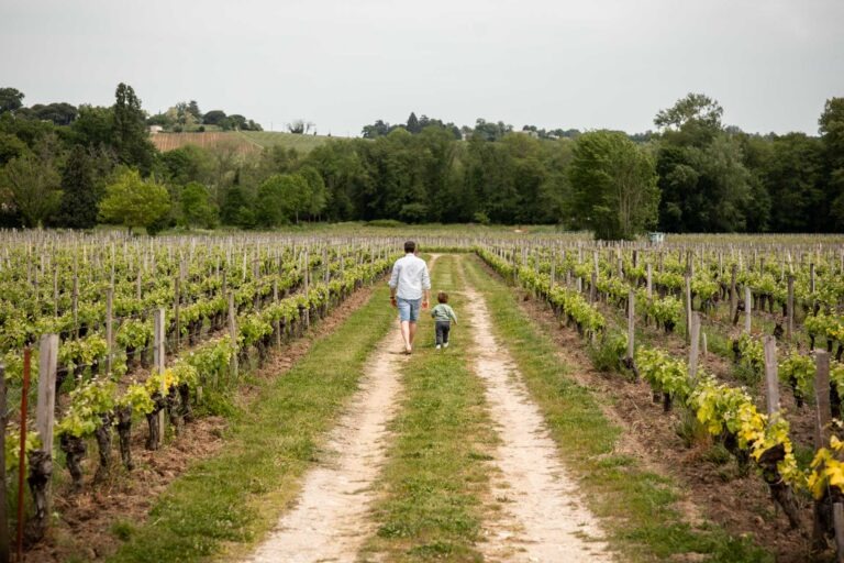 Photographe vins et spiritueux