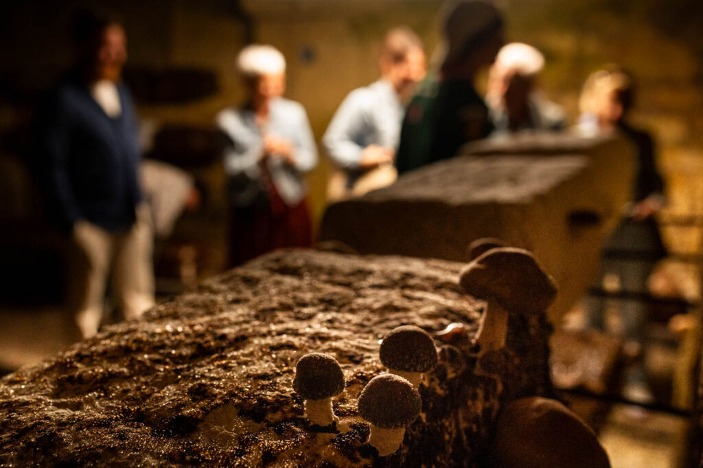 Photographe vins et spiritueux