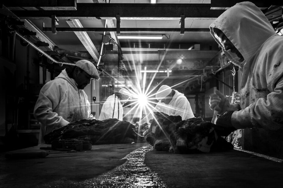 Photo reportage d'une entreprise en Charente