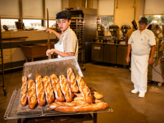 photographe entreprise Charente – antoine ollier photographie-4