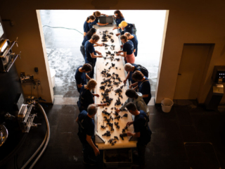 photographe vins et spiritueux Charente – antoine ollier photographie-8