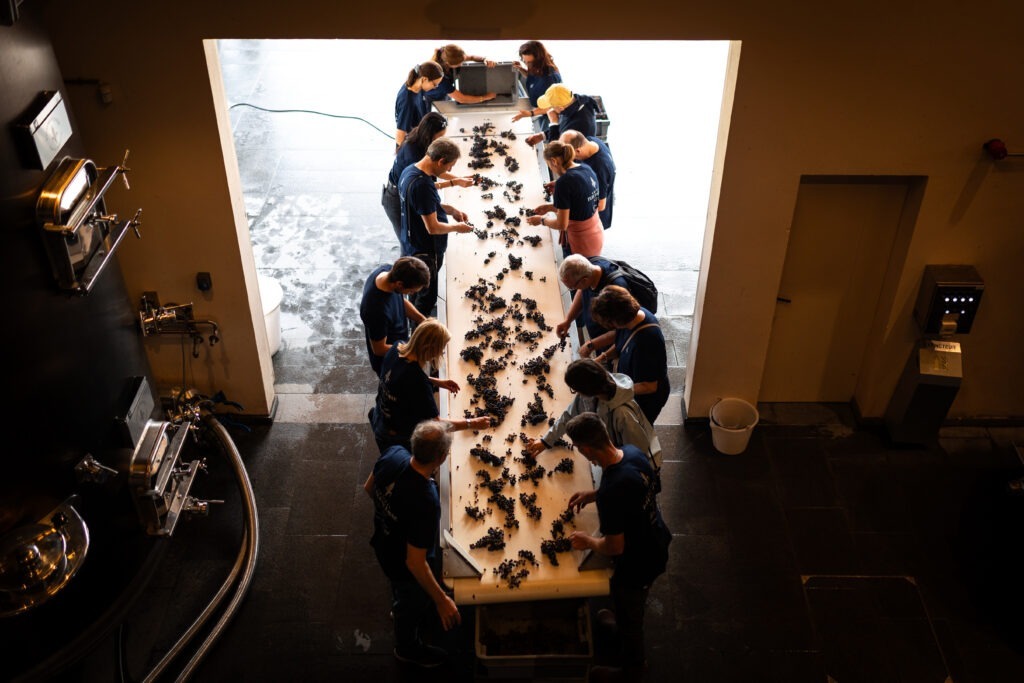 photographe vins et spiritueux Charente – antoine ollier photographie-8